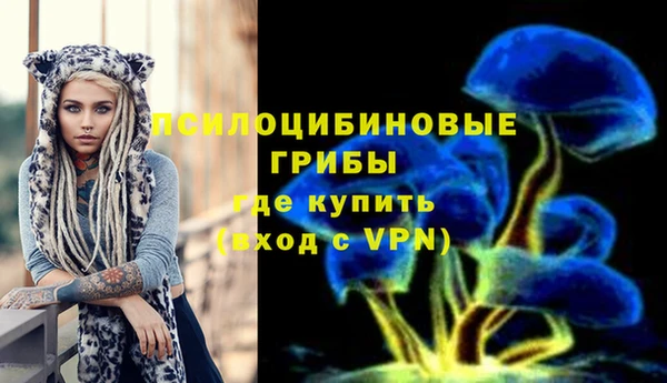 ECSTASY Вязьма