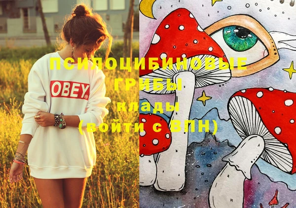 ECSTASY Вязьма