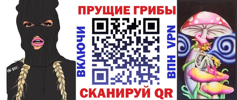 мега вход  Щёлкино  Псилоцибиновые грибы Psilocybe 